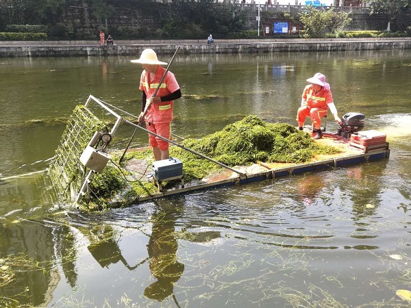 河道堤岸保潔服務公司