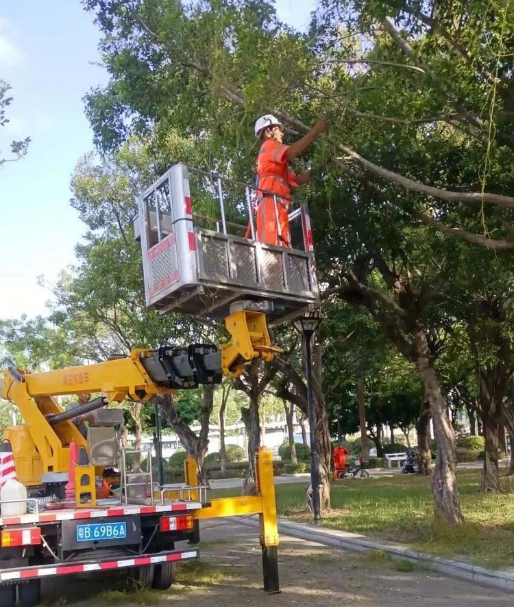 佛山順德大良物業城市項目環衛綠化服務